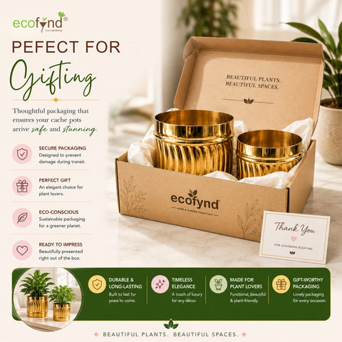 ecofynd Set of 2 Cylindrical Metal Planter – 6/7 Inch, Symmetrical Design