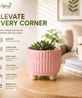 ecofynd 3.5 Inch Ceramic Plant Pots with Drainage Hole