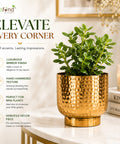 ecofynd Premium Golden Metal Planter – 5 Inch, Goblet Design