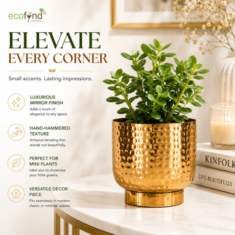 ecofynd Premium Golden Metal Planter – 5 Inch, Goblet Design