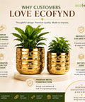 ecofynd Premium Golden Metal Planter – 7 and 5 Inch, Symmetrical Oval Design