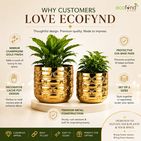 ecofynd Premium Golden Metal Planter – 7 and 5 Inch, Symmetrical Oval Design