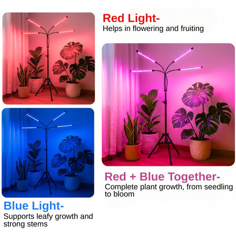 ecofynd Kaira4 Grow Light for Indoor Plants | Dual Spectrum Red & Blue LED with 4/8/12 Hour Timer