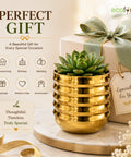ecofynd 1 Pack 5 Inch Gold Metal Flower Pot