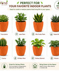 ecofynd 4 Inch Ceramic Plant Pots with Drainage Hole