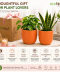 ecofynd 5 Inch Ceramic Plant Pots with Drainage Hole