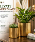 ecofynd Set of 2 Ribbed Metal Pedestal Planter – Gold Finish