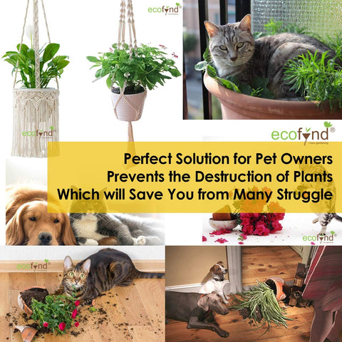 ecofynd Bohemian Macrame Plant Hanger – Set of 3 (Ivory, Cotton)