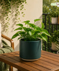 ecofynd Ecofynd 6 Inch Dark Green Ceramic Cachepot Planter with Drainage