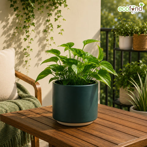 ecofynd Ecofynd 6 Inch Dark Green Ceramic Cachepot Planter with Drainage
