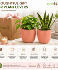 ecofynd 5 Inch Ceramic Plant Pots with Drainage Hole