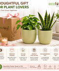 ecofynd 5 Inch Ceramic Plant Pots with Drainage Hole