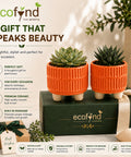 ecofynd 3.5 Inch Ceramic Plant Pots with Drainage Hole