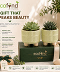 ecofynd 3.5 Inch Ceramic Plant Pots with Drainage Hole