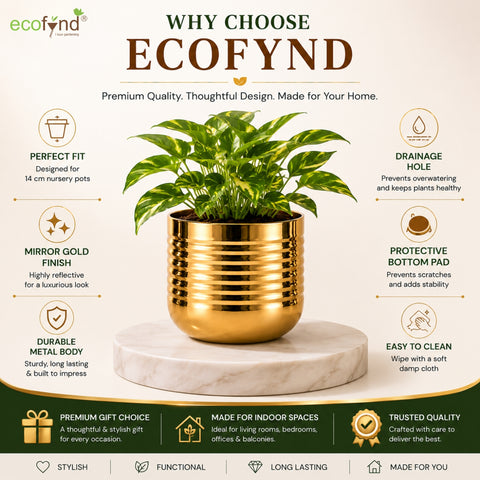 ecofynd Premium Golden Metal Planter – 5 Inch, Spiral Design