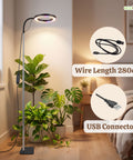 ecofynd Flory 2 Years Warranty Grow Light for Indoor Plants