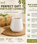 ecofynd 3.5 Inch White Ceramic Plant Pots with Drainage Hole