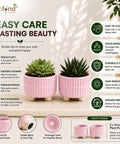 ecofynd 3.5 Inch Ceramic Plant Pots with Drainage Hole