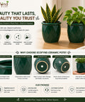 ecofynd 4 Inch Ceramic Plant Pots with Drainage Hole