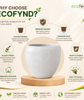 ecofynd 5.1 Inch White Ceramic Plant Pots with Drainage Hole