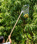 ecofynd Ecofynd White Fruit Picker Net for Mangoes & Tree Fruit Harvesting