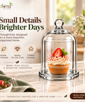 ecofynd 3.3 Inches Decorative Glass Bell Jar with Lid