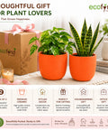 ecofynd 5 Inch Ceramic Plant Pots with Drainage Hole