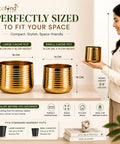 ecofynd Premium Golden Metal Planter – Set of 2, Spiral Design