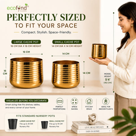 ecofynd Premium Golden Metal Planter – Set of 2, Spiral Design