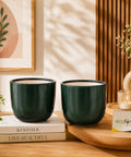 ecofynd 5 Inch Ceramic Plant Pots with Drainage Hole