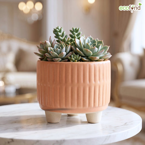 ecofynd Ecofynd Peach 3.5 Inch Ribbed Ceramic Cachepot Planter with Drainage Hole