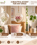 ecofynd Hanging Glass Planter – Cut Sphere Design | Clear Transparent Glass, Medium