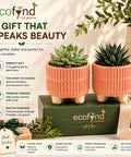 ecofynd 3.5 Inch Ceramic Plant Pots with Drainage Hole