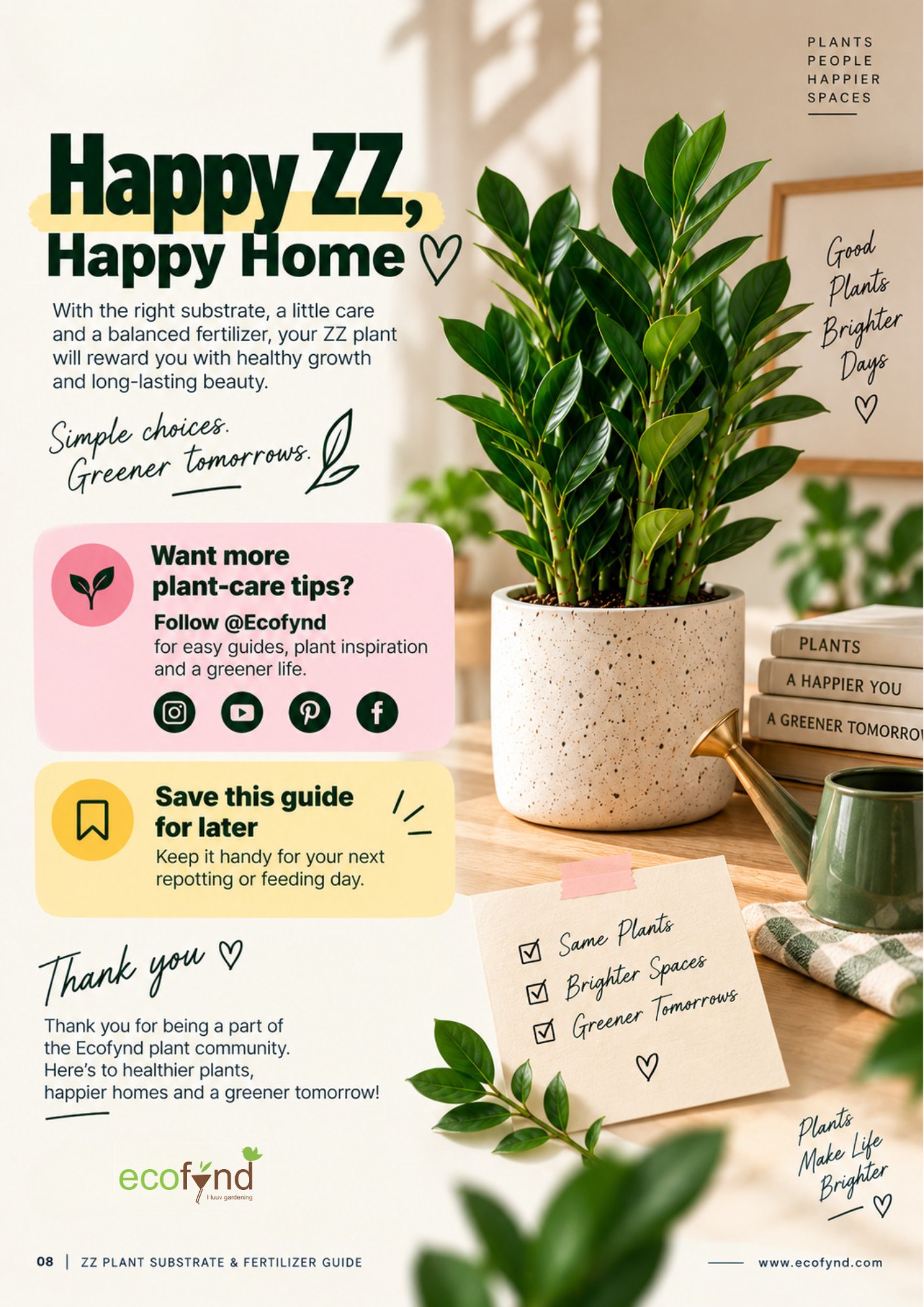 Ecofynd plant care guide conclusion page featuring a healthy potted indoor ZZ plant, encouraging plant owners to use the right substrate and balanced fertilizer for long-lasting growth.
