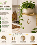 ecofynd 2 Pack Cora Wall Mounted Metal Plant Stand with Hanging Hook