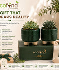 ecofynd 3.5 Inch Ceramic Plant Pots with Drainage Hole