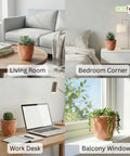 ecofynd Ecofynd Peach 4.3 Inch Cachepot Planter with Drainage Hole for Desk