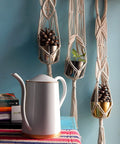ecofynd Bohemian Macrame Plant Hanger – Set of 3 (Ivory, Cotton)