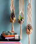 ecofynd Bohemian Macrame Plant Hanger – Set of 3 (Ivory, Cotton)
