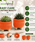 ecofynd 3.5 Inch Ceramic Plant Pots with Drainage Hole