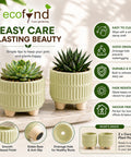 ecofynd 3.5 Inch Ceramic Plant Pots with Drainage Hole