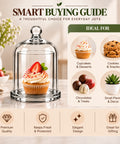 ecofynd 3.3 Inches Decorative Glass Bell Jar with Lid