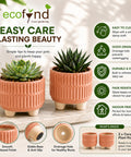 ecofynd 3.5 Inch Ceramic Plant Pots with Drainage Hole
