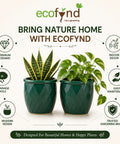 ecofynd 4 Inch Ceramic Plant Pots with Drainage Hole