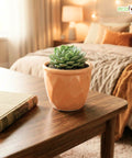 ecofynd Ecofynd Peach 4.3 Inch Cachepot Planter with Drainage Hole for Desk