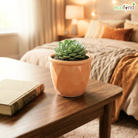 ecofynd Ecofynd Peach 4.3 Inch Cachepot Planter with Drainage Hole for Desk