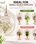 ecofynd Hanging Glass Planter – Cut Sphere Design | Clear Transparent Glass, Medium