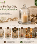 ecofynd 3.3 Inches Decorative Glass Bell Jar with Lid