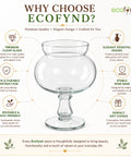 ecofynd 5.5 Inch Glass Flower Vase with Pedestal Stand for Fresh & Artificial Flower