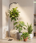 ecofynd Flory 2 Years Warranty Grow Light for Indoor Plants